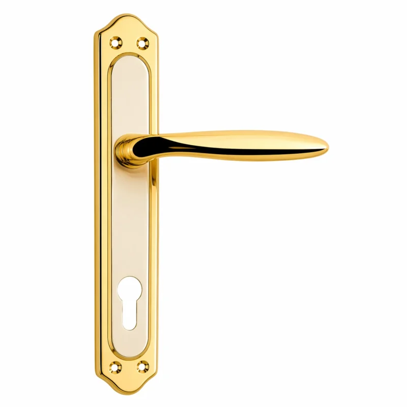 Lara modern door handle with premium finish for interior and exterior doors