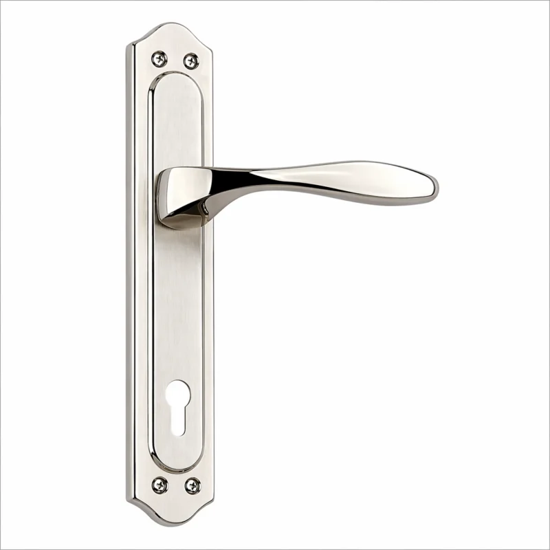Sude Inox stainless steel door handle with elegant modern lever